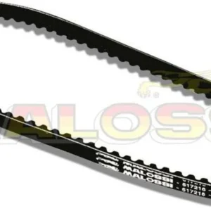 Compacte Correa Malossi X-Special Peugeot 103 SPX/RCX