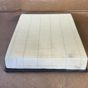 Actief kool Air Filter P536429
