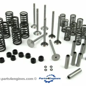 Perkins 4.107 Valve Train Overhaul Kit