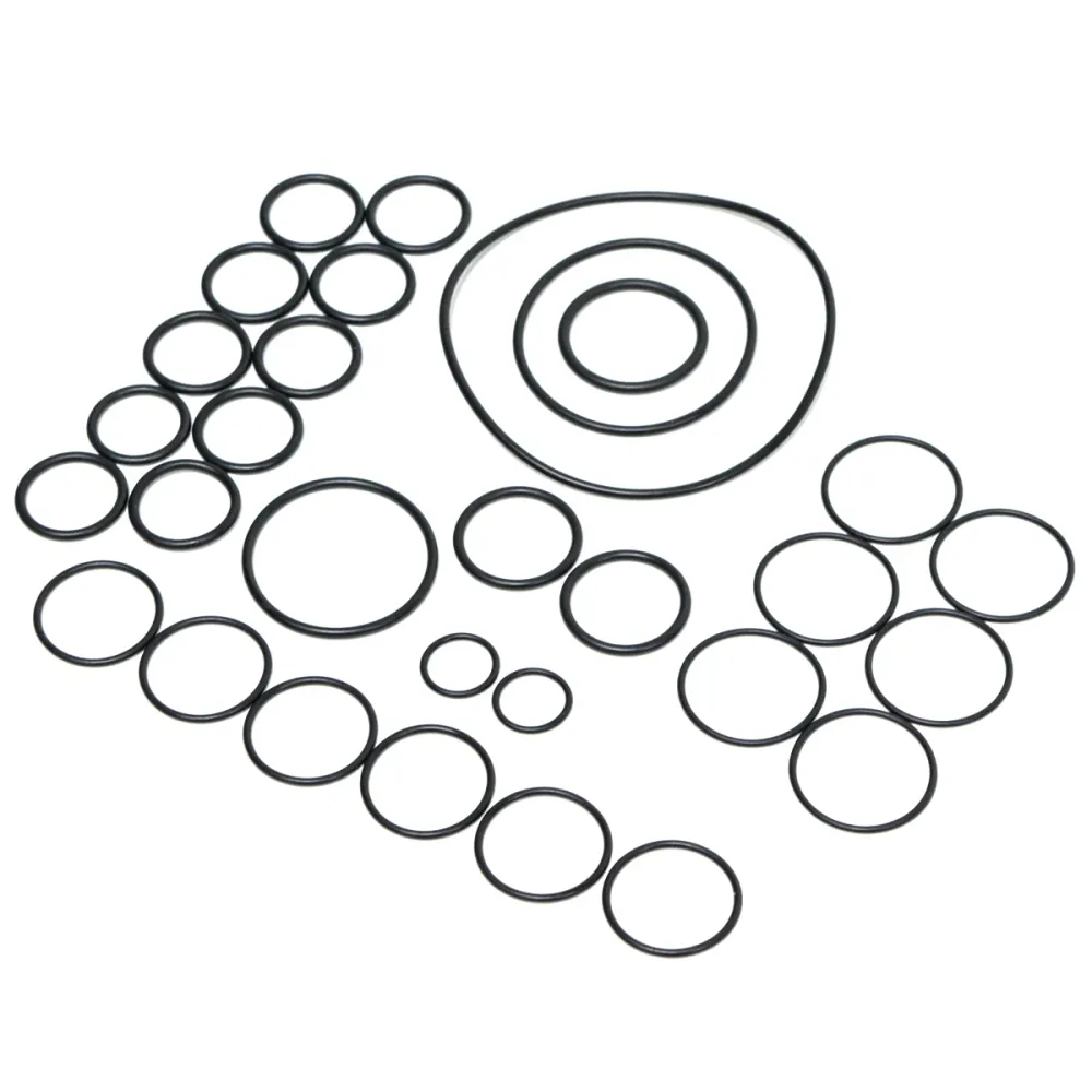 Hypro 9910-KIT2389 O-Ring Kit