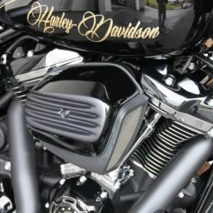 Special Air Filter Cover Ravenzwart Ready To Paint Harley-Davidson