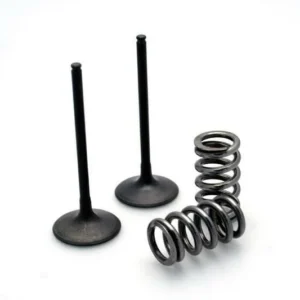 Kit de válvula acero y muelle Prox admisión Kawasaki 28.SIS4406-2