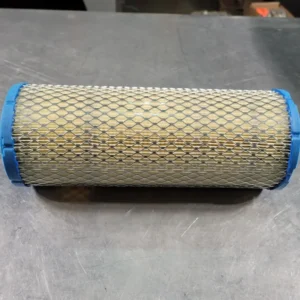 Air Intake Filter AF25551