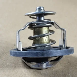 Thermostat Kit Gasket IFI24919, 8973617700