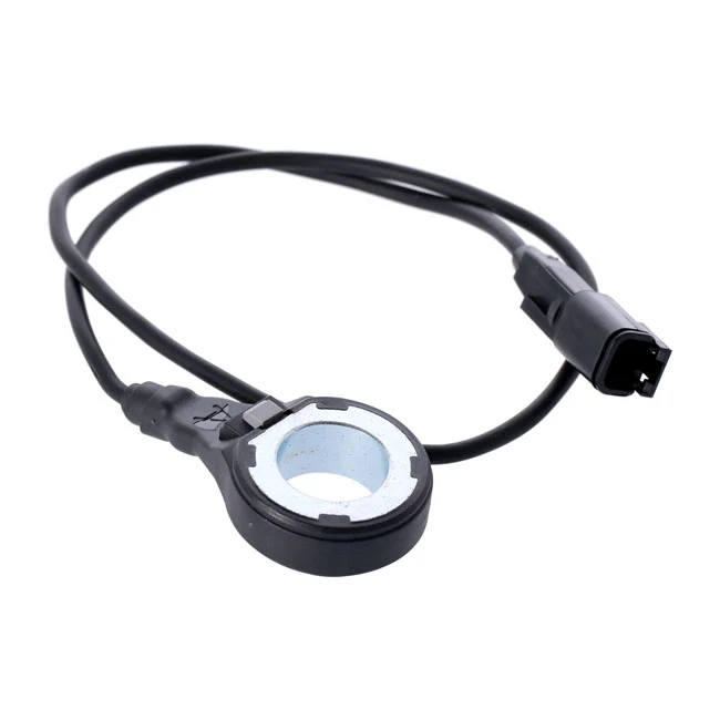Sensor Rueda Freno ABS Trasero Para Harley-Davidson Softail 2018-Up