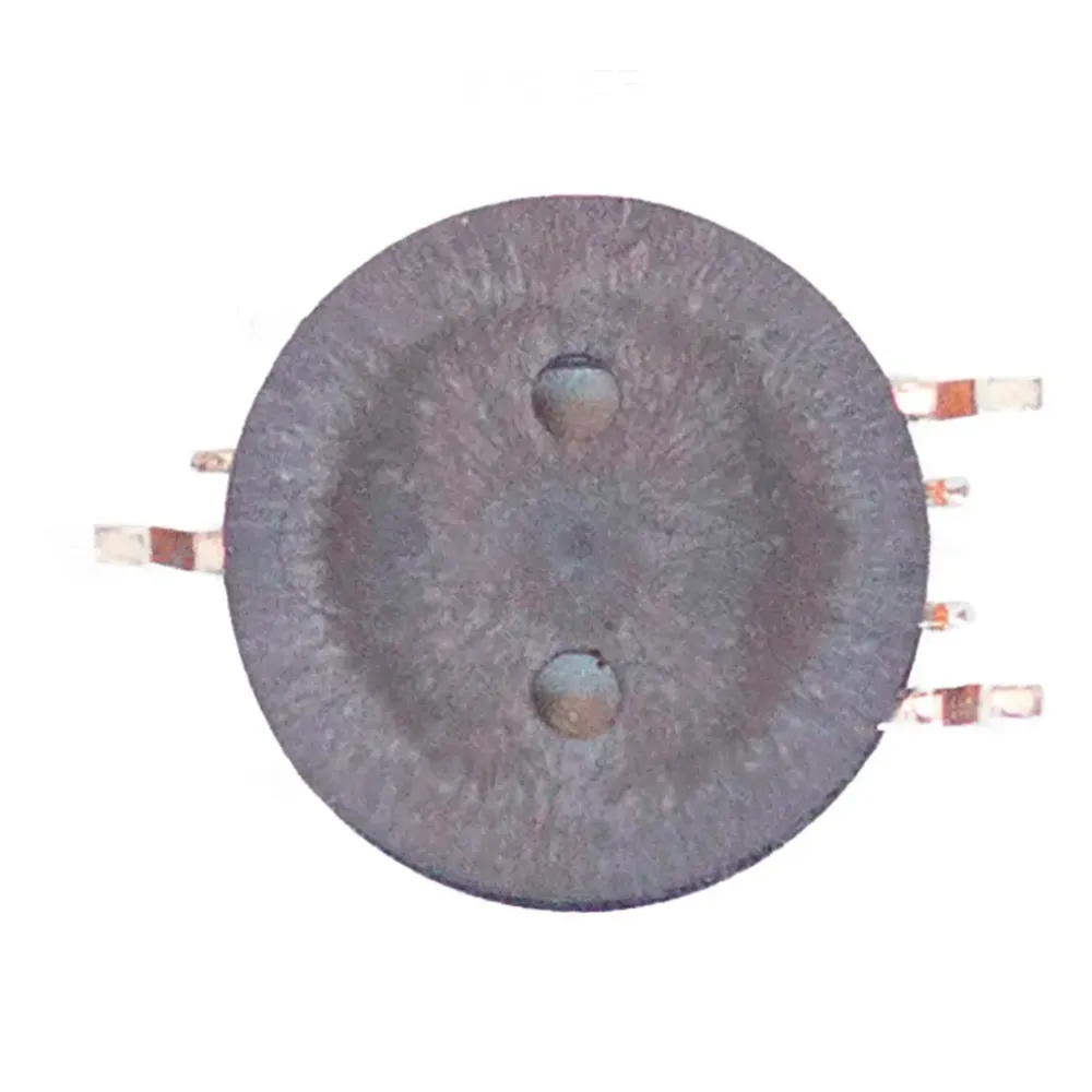 Renault Megane Ii Card Inductor Coil Complete set voor V8 motor