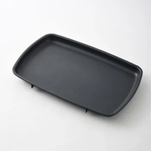 Regen GRANDE Flat Plate (Replacement)