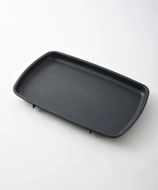 Regen GRANDE Flat Plate (Replacement)