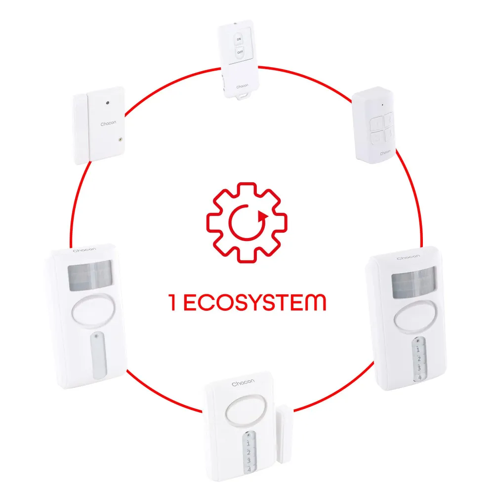 Door/window sensor (x2) - Ivoor