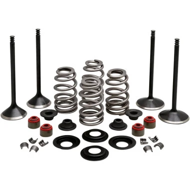 Kibblewhite Ebbenhout Diamond Engine Valve Kit Harley-Davidson Twin Cam