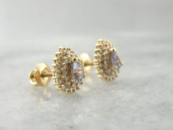 Tanzanite and Diamond Tweemaal Halo Stud Earrings