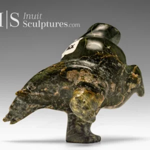 4" 2 Way Diving Bear Isaaci Shaa *Head Strong*