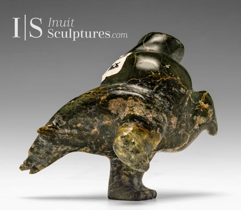 4" 2 Way Diving Bear Isaaci Shaa *Head Strong*