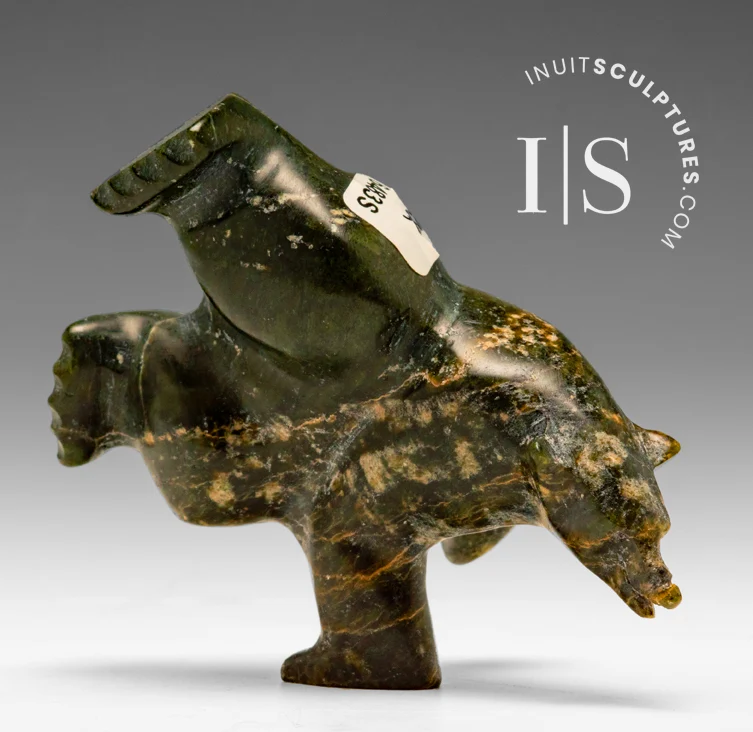 4" 2 Way Diving Bear Isaaci Shaa *Head Strong*