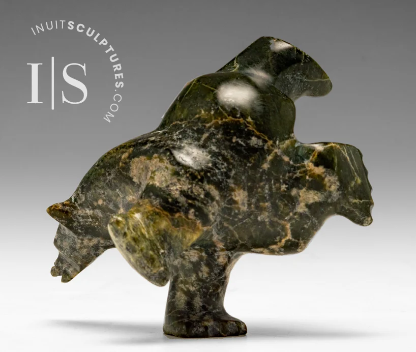 4" 2 Way Diving Bear Isaaci Shaa *Head Strong*