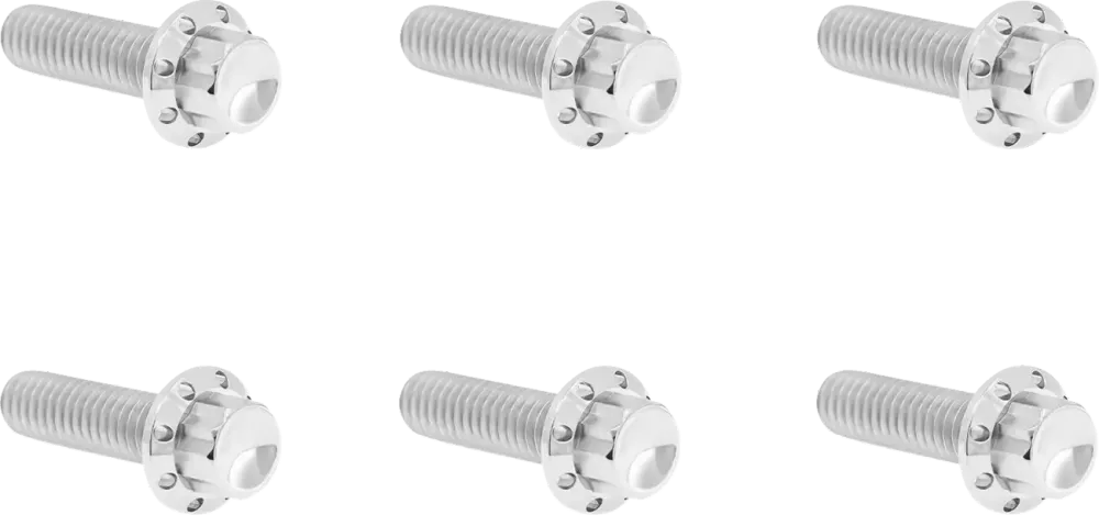 Kit Pernos Titanio Plateado Cubierta Uitgelezen De Transmisión Para Harley Davidson TC&M8 07-23