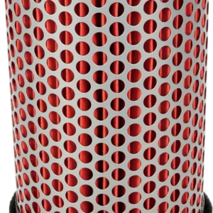 EMGO AIR FILTERS -FLTR HON 17220-415-003