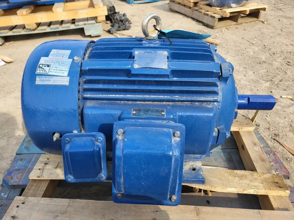 Achterzijde passagier 20 hp, 575 volts, 1170 rpm, 286T Electric Motor APH02006TE5-M