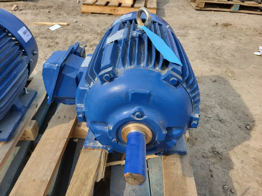 Achterzijde passagier 20 hp, 575 volts, 1170 rpm, 286T Electric Motor APH02006TE5-M