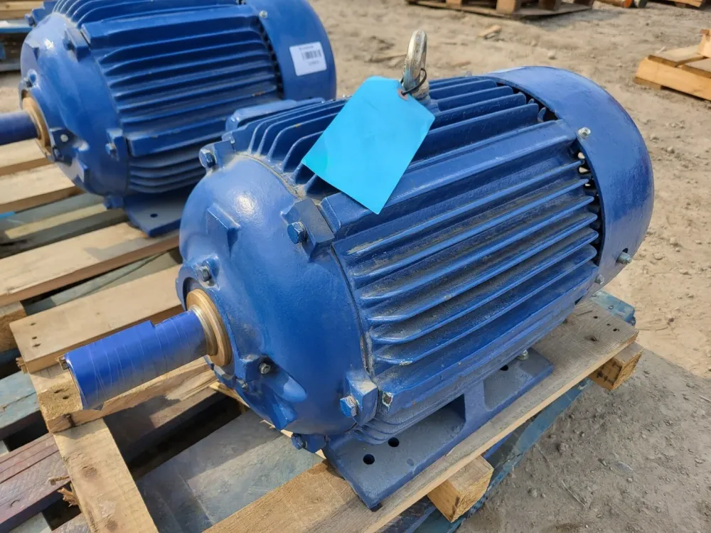 Achterzijde passagier 20 hp, 575 volts, 1170 rpm, 286T Electric Motor APH02006TE5-M
