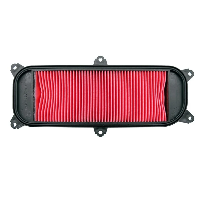 Premium Zware Dienst Filtro aire People S 250/300