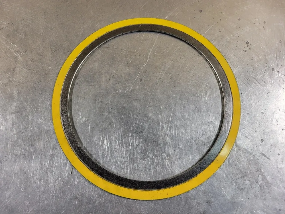 12" 150 CG Gasket