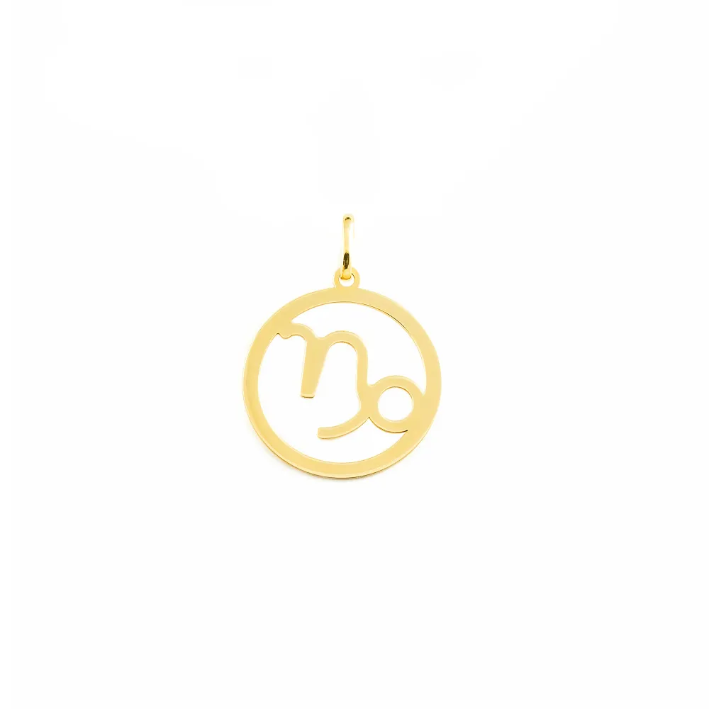 9ct Yellow Gold Capricorn Horoscope pendant shine
