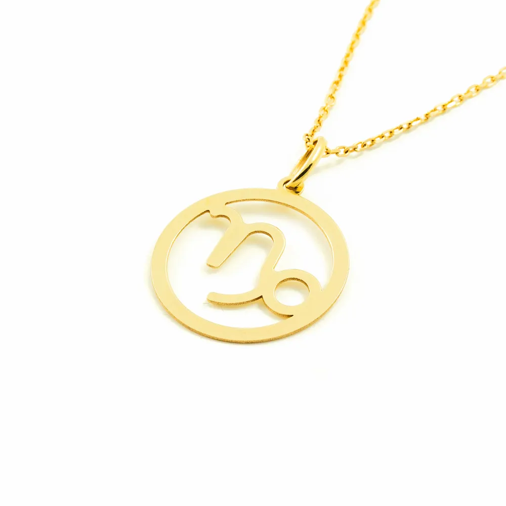 9ct Yellow Gold Capricorn Horoscope pendant shine