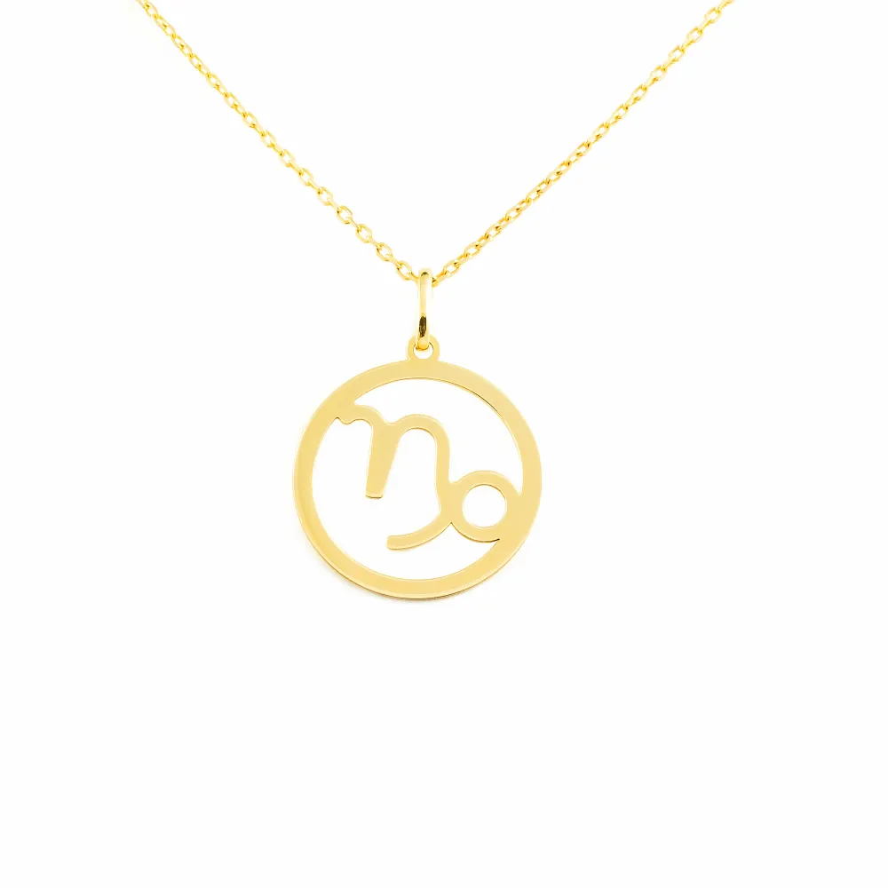9ct Yellow Gold Capricorn Horoscope pendant shine