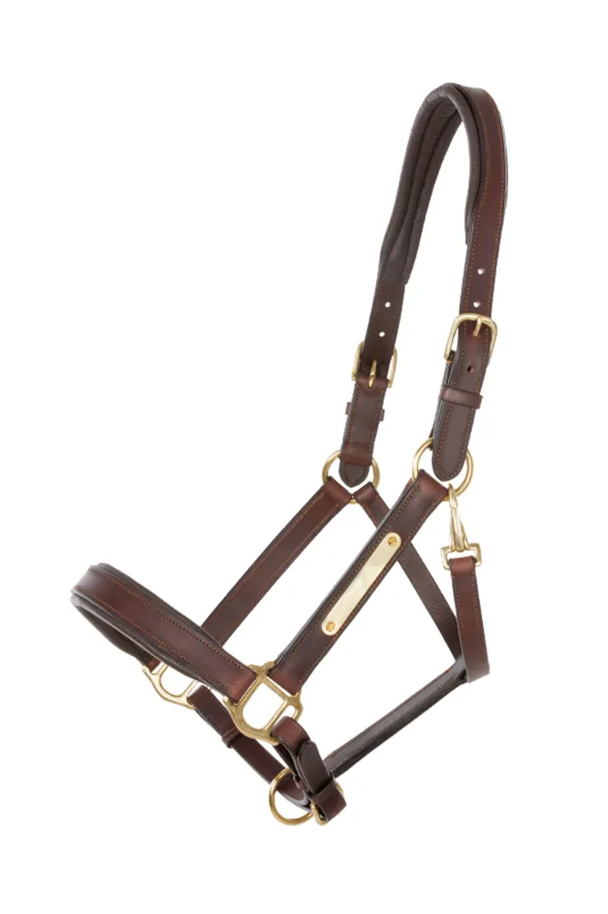 Echt leer halter Cinta brown/brown C Geschikt voor Alle Interieurs