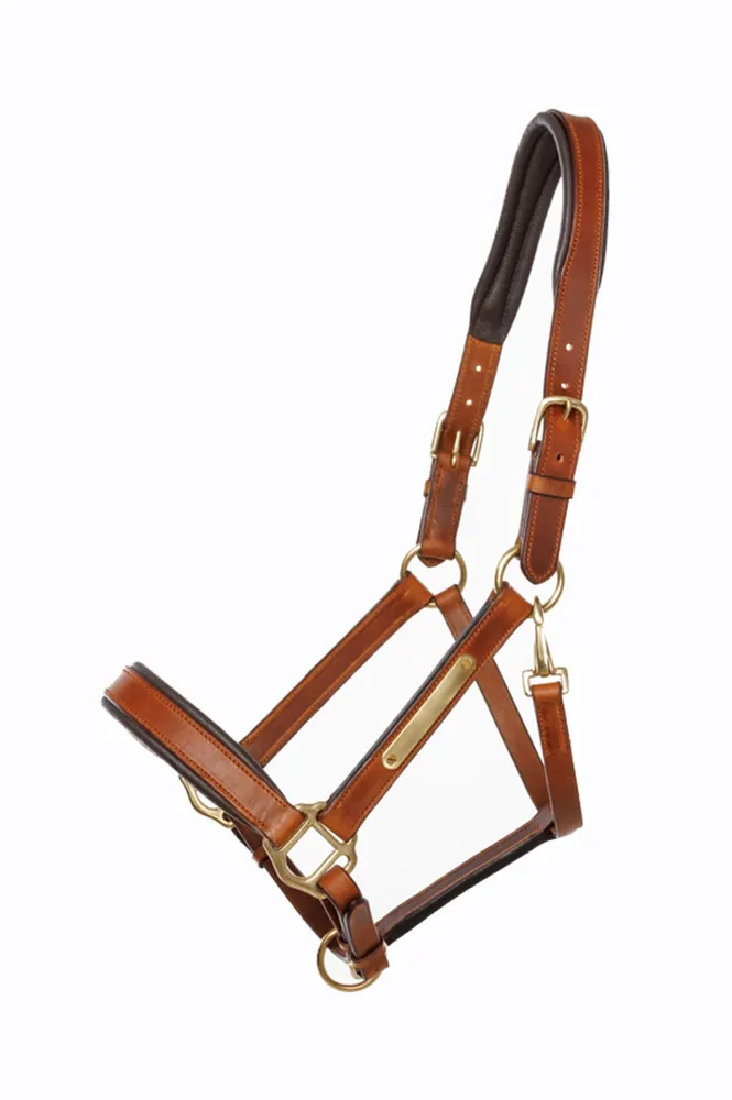 Leer halter Cinta cognac/brown C