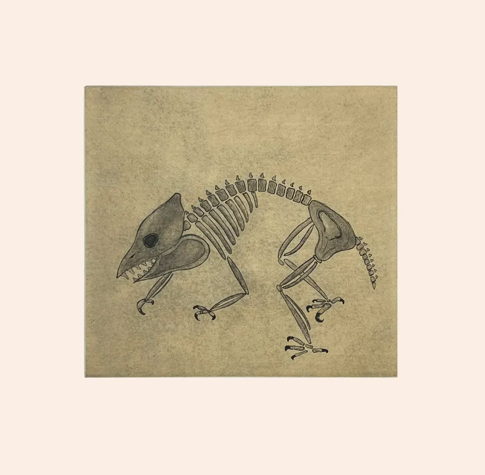 2023 DORSET SPRING PRINTS PADLOO SAMAYUALIE *Ancient Fossil 2017*