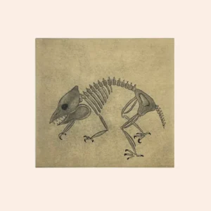 2023 DORSET SPRING PRINTS PADLOO SAMAYUALIE *Ancient Fossil 2017*