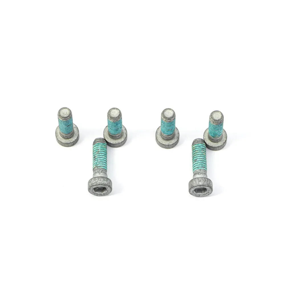 Brake Disc Bolt Kit BMW