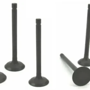 Volvo Penta D2-55 Cylinder Head Valve Set