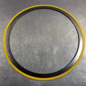 20" 150 316L/FG LCS Spiral Wound Gasket QC 5607