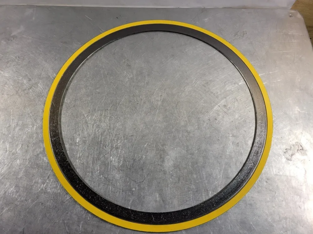 20" 150 316L/FG LCS Spiral Wound Gasket QC 5607