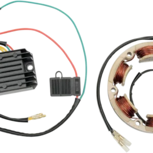 RICK'S MOTORSPORT ELECTRIC HIGH-OUTPUT CHARGING KIT CHARGING KIT (99-101)