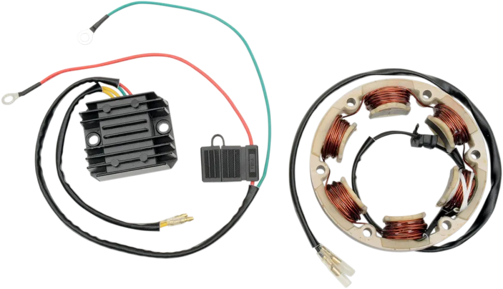 RICK'S MOTORSPORT ELECTRIC HIGH-OUTPUT CHARGING KIT CHARGING KIT (99-101)