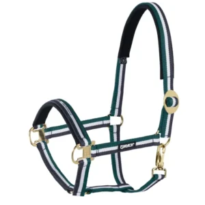 Ventilerend Halter sliding Buckle Racinggreen-White-Nightblue C