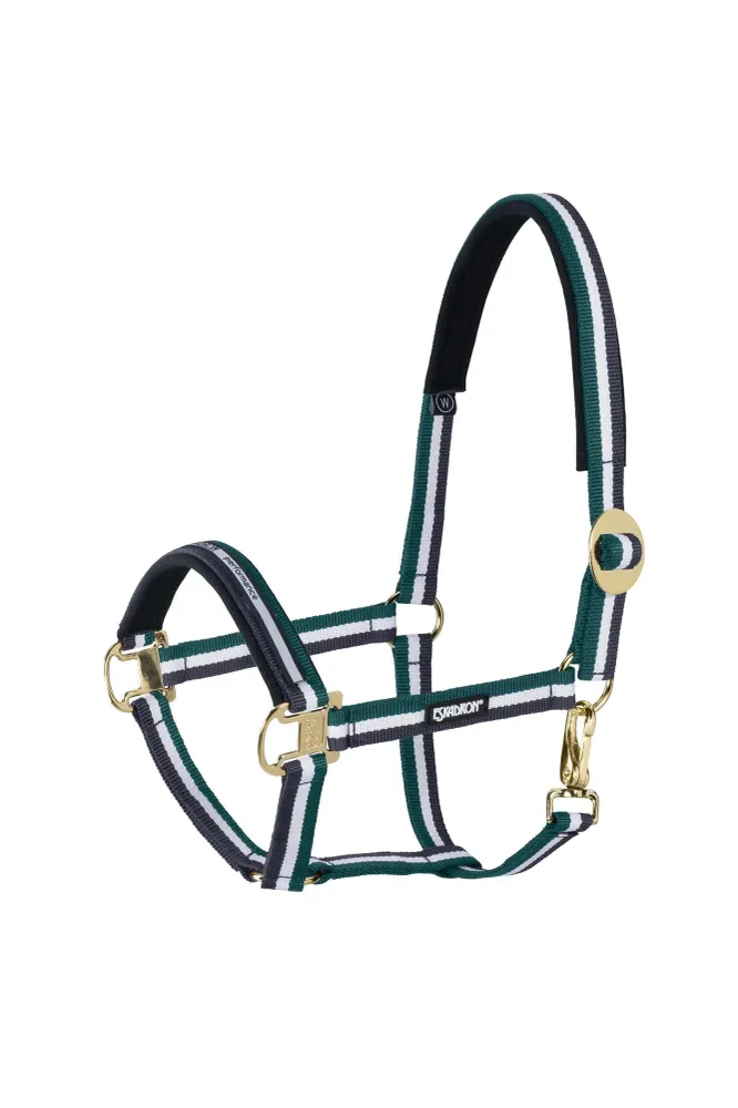 Ventilerend Halter sliding Buckle Racinggreen-White-Nightblue C