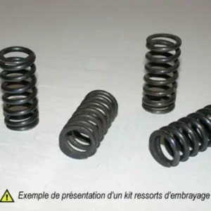 Kit de muelles de embrague XL650V TRANSALP '00-06 TRIUMPH 800 '03-04 HSP-119-4