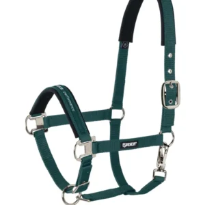 Quick Release Halter Pin Buckle Racinggreen C