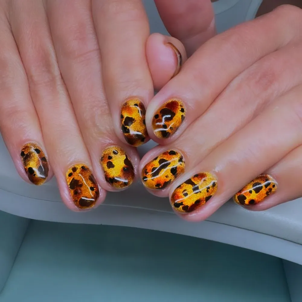 UV-bestendig NT - Tortoise Shell Design Kit