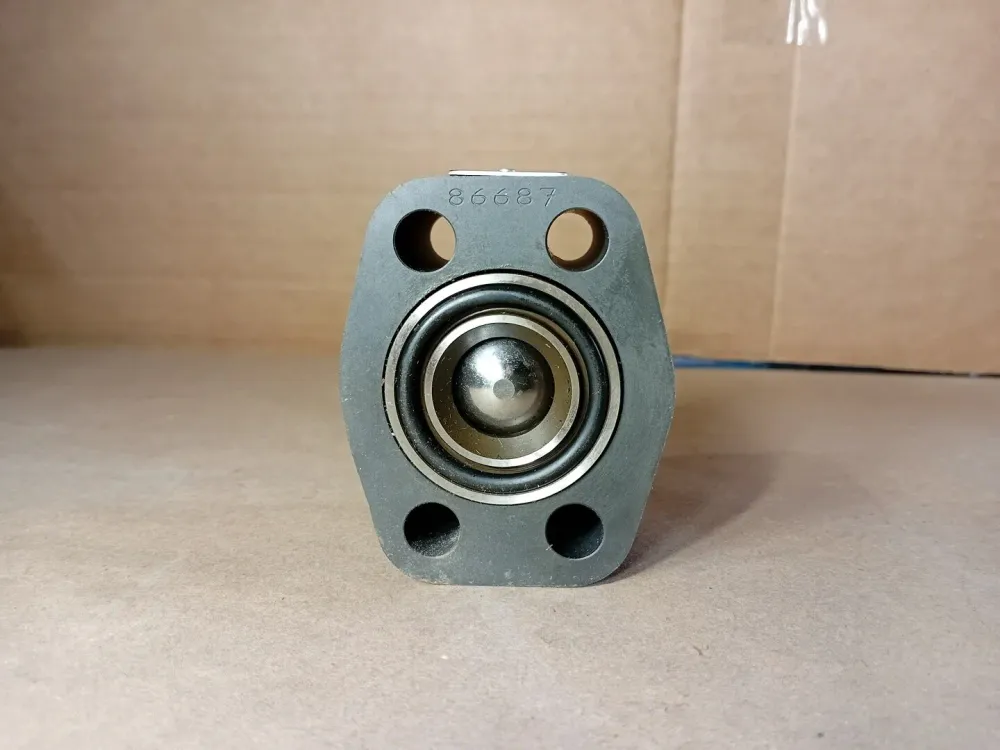 Check Valve R4150321