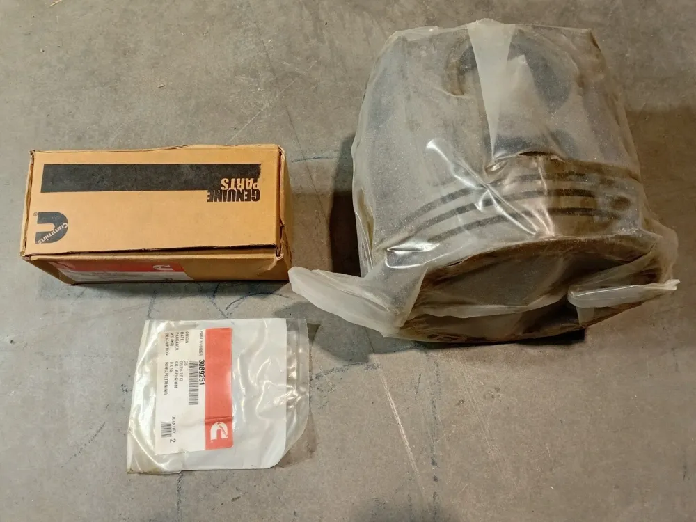 Engine Piston Kit 4955326 (3640796, 3089251, 4001416)