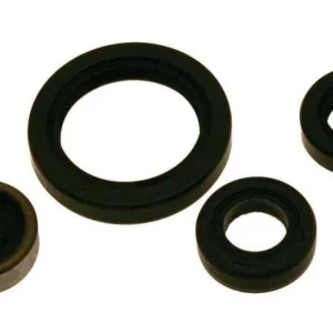 Kit retenes de motor CENTAURO KTM SX-F250/350