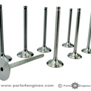 Perkins 4.154 (200 Series) Cylinder Head Valve Set