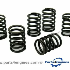Perkins 422GM Valve Spring Set