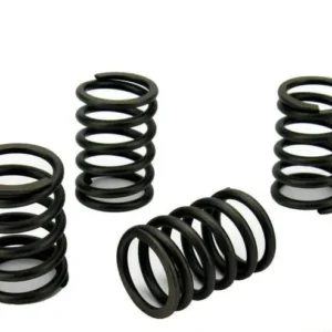 Perkins M20 Valve Spring Set (198217070)